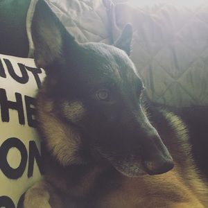 Meet your Posher, Rowan